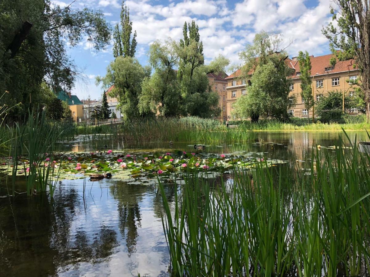 Old Town Apartment Podtatranskeho Кошице Екстер'єр фото